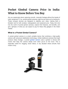 Pocket Gimbal Camera Price in India  What to Know Before You Buy