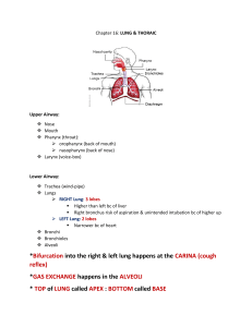 Lung & Thorax: Nursing