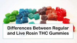 Regular vs Live Rosin THC Gummies: Key Differences