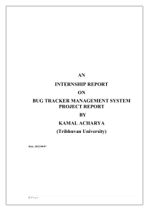 Bug tracker management system project report