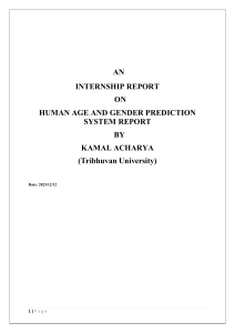 Human Age & Gender Prediction Internship Report