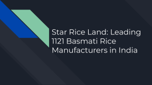 Star Rice Land  Leading 1121 Basmati Rice Manufacturers in India