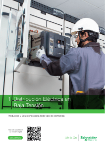 CAP1 PER - Distribucion Electrica 2021