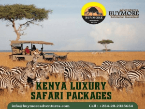 Experience Nature’s Astounding Beauty And The Rich Culture On A Luxury Safari In Kenya