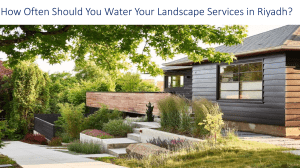 How Often Should You Water Your Landscape Services in Riyadh