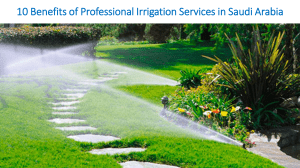 10 Benefits of Professional Irrigation Services in Saudi Arabia