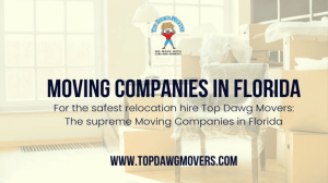 Top Dawg Movers  Your Trusted Moving Company in Florida