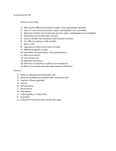 Bio 210 Study Guide: Bonding, Macromolecules, Cells