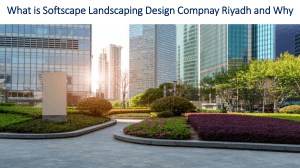 What is Softscape Landscaping Design Compnay Riyadh and Why