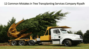 12 Common Mistakes in Tree Transplanting Services Company Riyadh