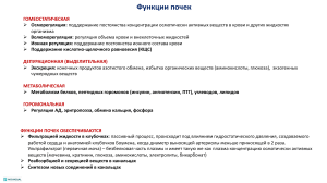 Функции почек: презентация