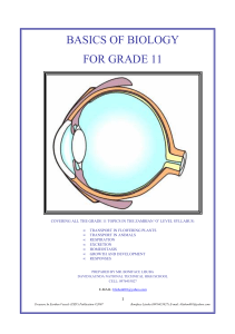 Basics of Biology for Grade 11 Textbook