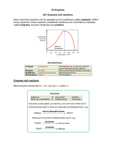 Enzymes: Function, Activity, and Applications