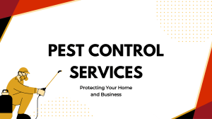 Gold Coast’s Trusted Pest and Termite Experts