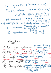 CSEC Biology Notes Luke Garcia Lesson 1