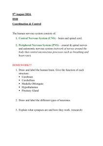 9th August 2024 Coordination & Control continuation Ally