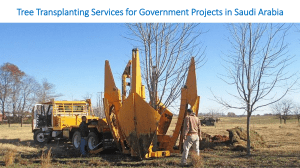 Tree Transplanting Services for Government Projects in Saudi Arabia