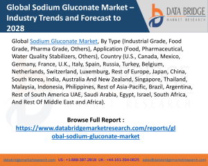 Sodium Gluconate Market