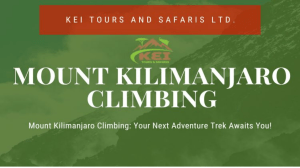 Customizable Mount Kilimanjaro Climbing Treks | Safe and Guided