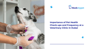 Importance of Pet Health Check-ups and Frequency at a Veterinary Clinic in Dubai