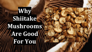 Why Shiitake Mushrooms Are Good For You