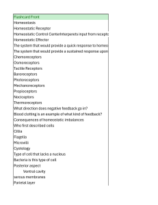 Bio Flashcards