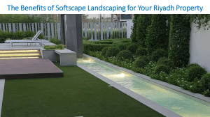 The Benefits of Softscape Landscaping for Your Riyadh Property