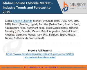 Choline Chloride Market