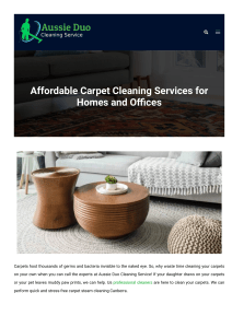 Carpet Cleaning