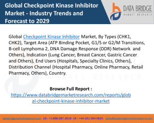 Checkpoint Kinase Inhibitor Market