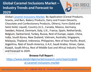 Caramel Inclusions Market