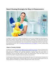 Smart Cleaning Strategies for Busy LA Homeowners