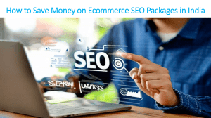 How to Save Money on Ecommerce SEO Packages