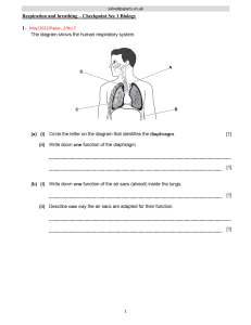 2022-17-Respiration-and-breathing-checkpoint sec 1-biology