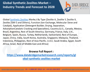 Synthetic Zeolites