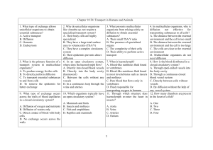 Transport in Humans and Animals Worksheet