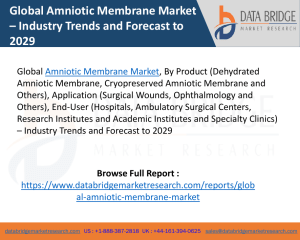 Amniotic Membrane Market