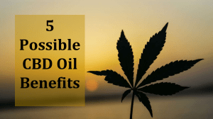 5 Possible CBD Oil Benefits 