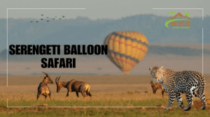 The Best Time for a Serengeti Balloon Safari: What You Need to Know