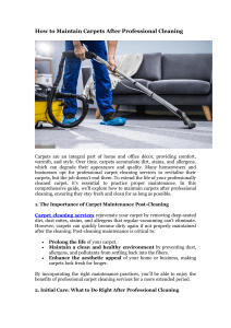 Carpet Maintenance After Professional Cleaning