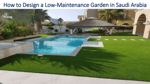 How to Design a Low-Maintenance Garden in Saudi Arabia