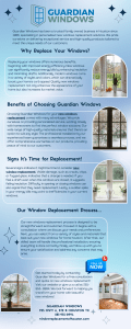 Guardian Windows Infographic