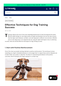 Dog Training