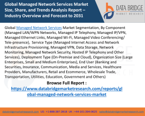 Managed Network Services