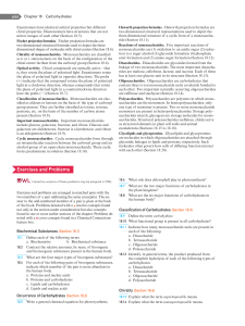 Carbohydrates: Structure, Classification, and Reactions