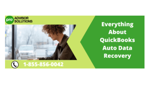 Understanding QuickBooks Auto Data Recovery Features