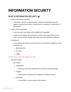 information security 