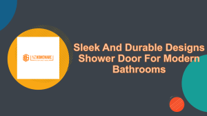 Sleek And Durable Designs Shower Door For Modern Bathrooms