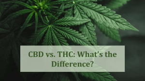 CBD vs. THC: What’s the Difference?