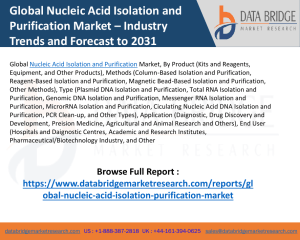 Nucleic Acid Isolation and Purification